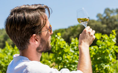Man examining wine glass in vineyard during morning tour in Cezanne countryside.