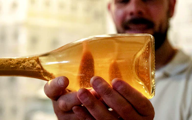 Málaga Wine Tour with Vineyard & Cellar Visits, Wine Tastings and Tapas