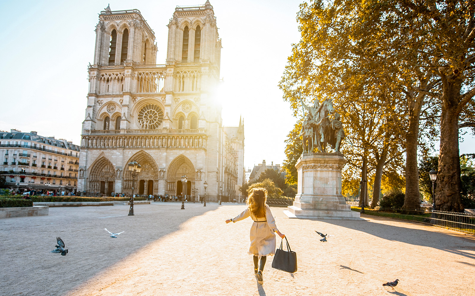 Notre Dame in Morning, Paris