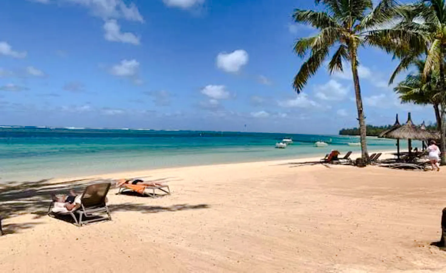 Private South-West Mauritius Tour with Bel Ombre Beach Horseback Ride and Lunch