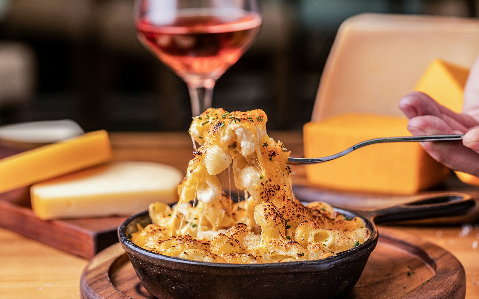 Mac and cheese dish with creamy sauce and breadcrumbs in a white bowl.