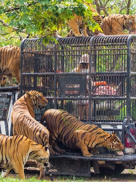 Bali Safari & Marine Park entrance with visitors and animal sculptures, Bali, Indonesia.