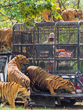 Bali Safari & Marine Park entrance with visitors and animal sculptures, Bali, Indonesia.