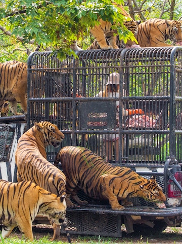 Bali Safari & Marine Park entrance with visitors and animal sculptures, Bali, Indonesia.