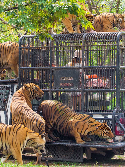 Bali Safari & Marine Park entrance with visitors and animal sculptures, Bali, Indonesia.