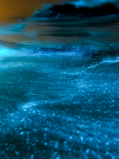 Bioluminescent plankton glowing in ocean water at sunset on island tour.