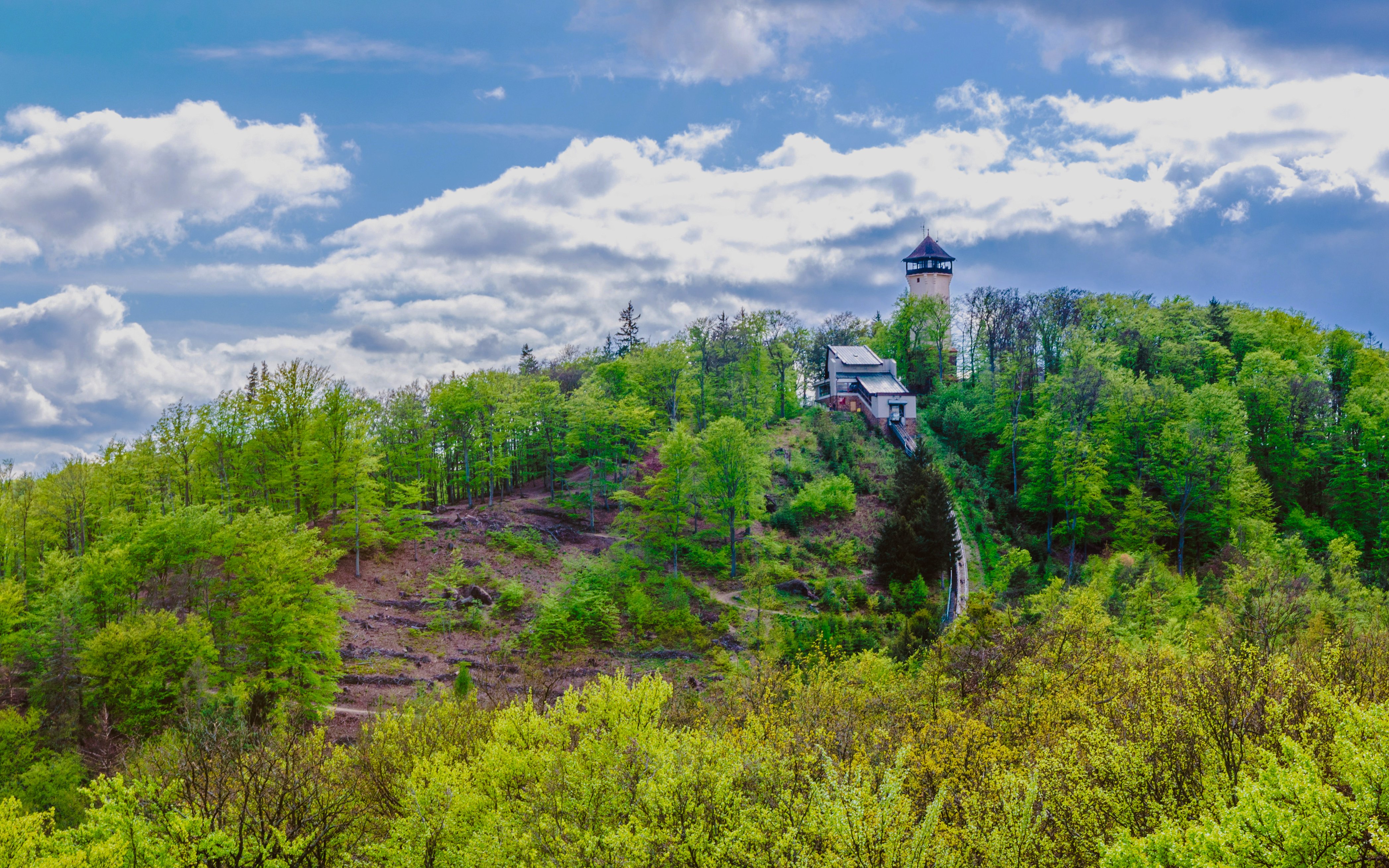 Diana Observation Tower surrounded by lush green forest under a cloudy sky.