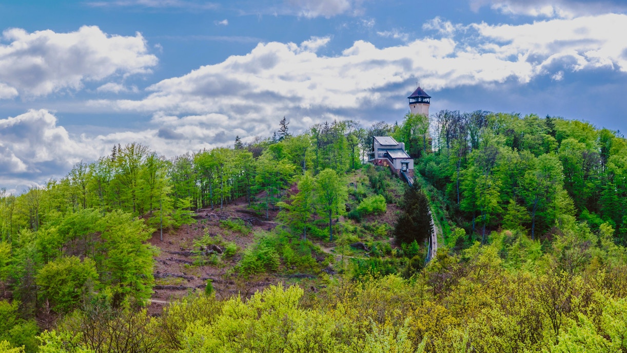 Diana Observation Tower surrounded by lush green forest under a cloudy sky.