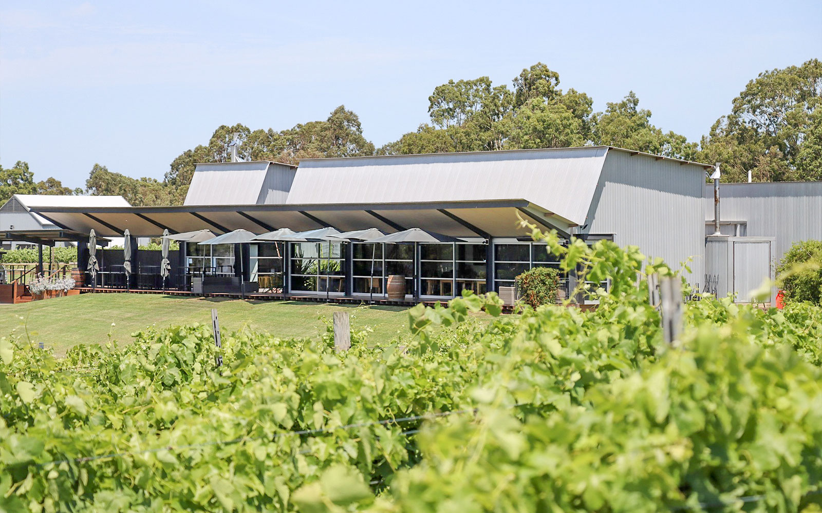 Tulloch Wines vineyard and tasting room in Hunter Valley, Australia.
