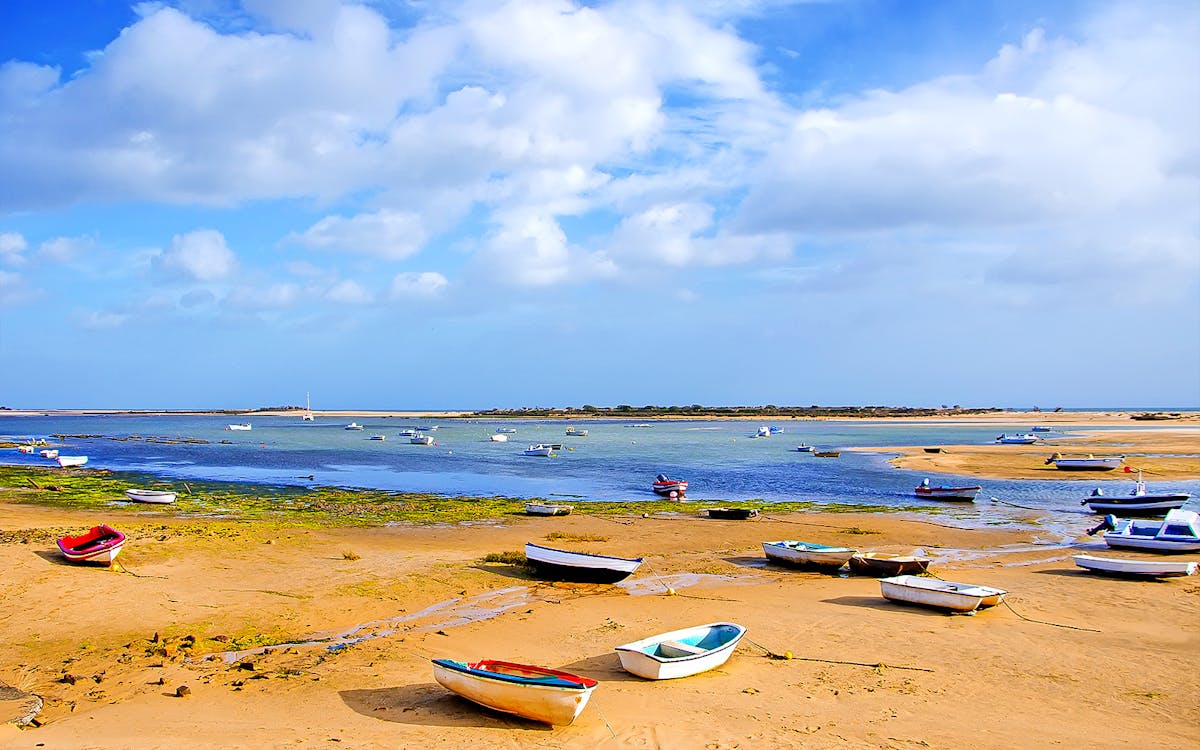 full-day private guided cruise in ria formosa-5 full-day private guided cruise in ria formosa-5