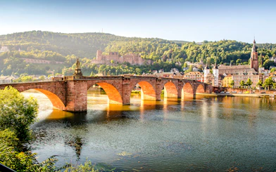 HeidelbergCARD: Access to Heidelberg Castle, Museums, Public Transport & Discounts
