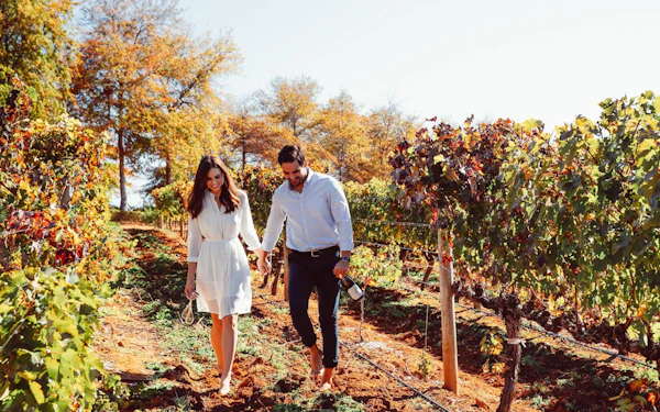 From Cape Town: Cape Winelands Tour to Stellenbosch and Franschhoek with Tastings and Guided Visits