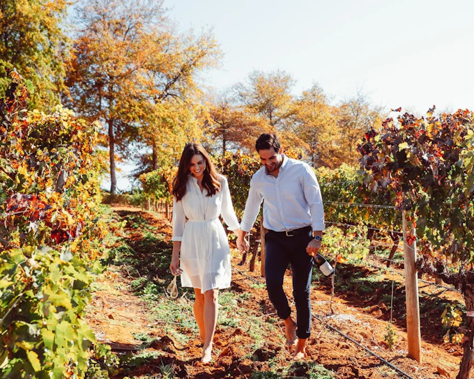 From Cape Town: Cape Winelands Tour to Stellenbosch and Franschhoek with Tastings and Guided Visits