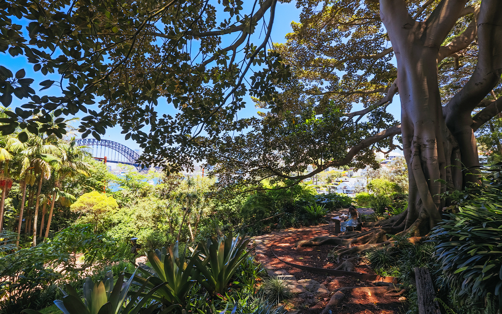 Wendy Whiteley's Secret Garden