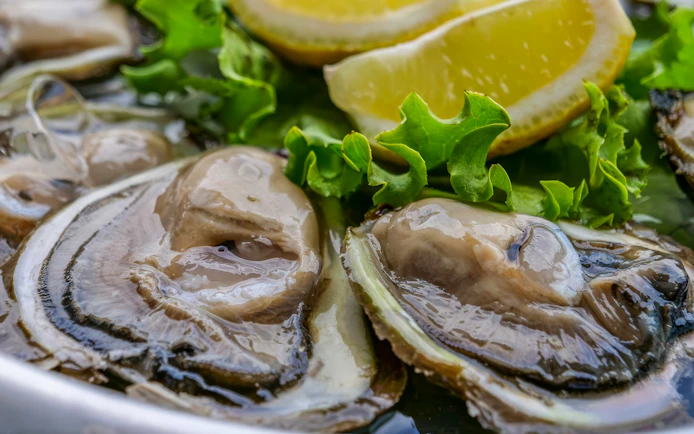 Ston oysters with lemon slices and lettuce in Croatia.