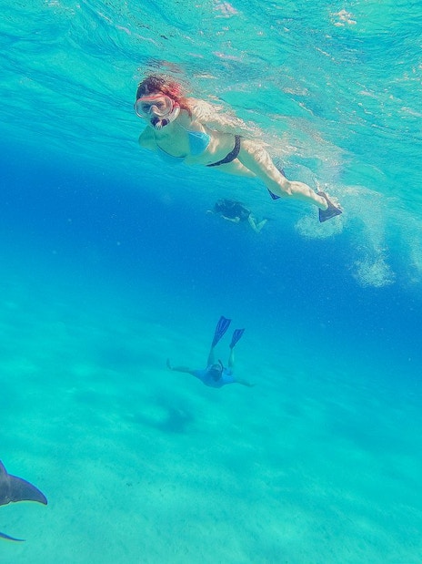 Snorkeler swimming with dolphins in the clear waters of the Red Sea, Hurghada.