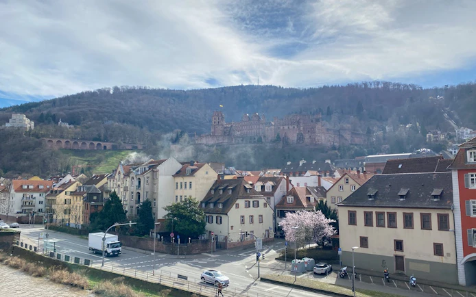 Heidelberg Castle overlooking city rooftops and Neckar River, Germany.