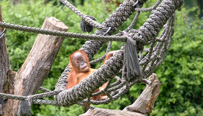 zoo leipzig