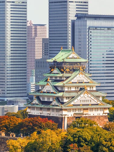 Osaka Pass