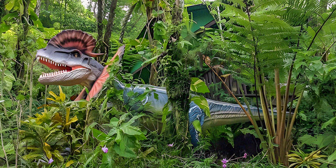 Dino Park Yanbaru Subtropical Forest