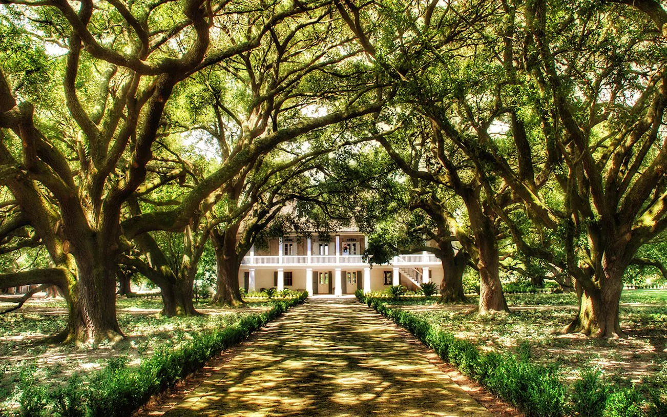 Whitney Plantation house surrounded by oak trees, New Orleans tour.