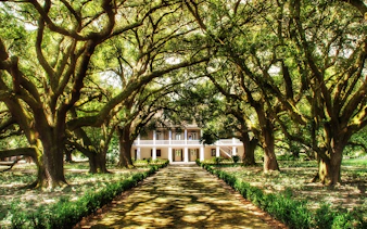 Whitney Plantation house surrounded by oak trees, New Orleans tour.