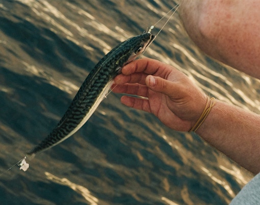 Payah Indah Discovery Wetlands