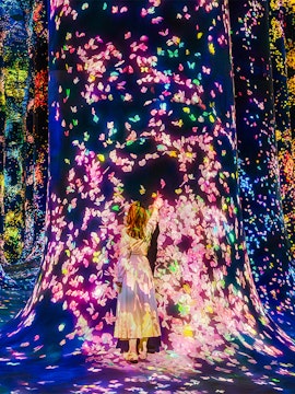 Interactive digital art installation with colorful butterflies at Team Lab Abu Dhabi.