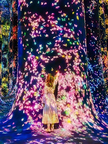 Interactive digital art installation with colorful butterflies at Team Lab Abu Dhabi.