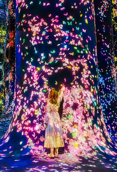 Interactive digital art installation with colorful butterflies at Team Lab Abu Dhabi.