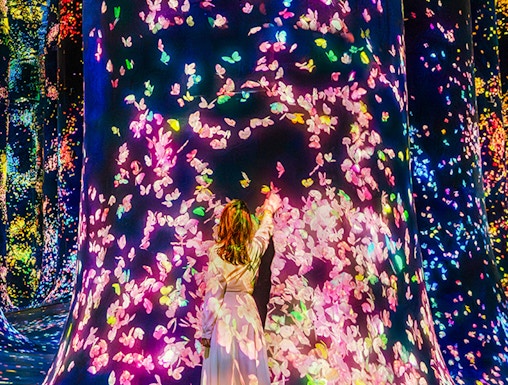 Interactive digital art installation with colorful butterflies at Team Lab Abu Dhabi.