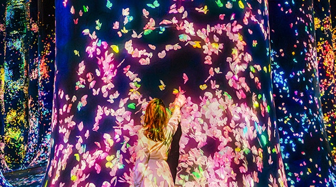 Interactive digital art installation with colorful butterflies at Team Lab Abu Dhabi.