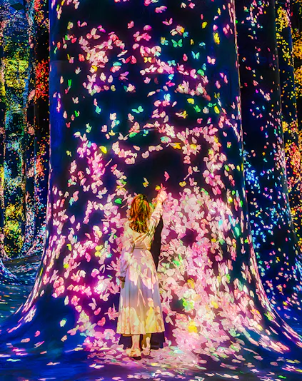 Interactive digital art installation with colorful butterflies at Team Lab Abu Dhabi.