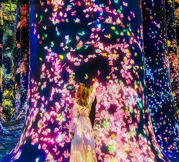 Interactive digital art installation with colorful butterflies at Team Lab Abu Dhabi.