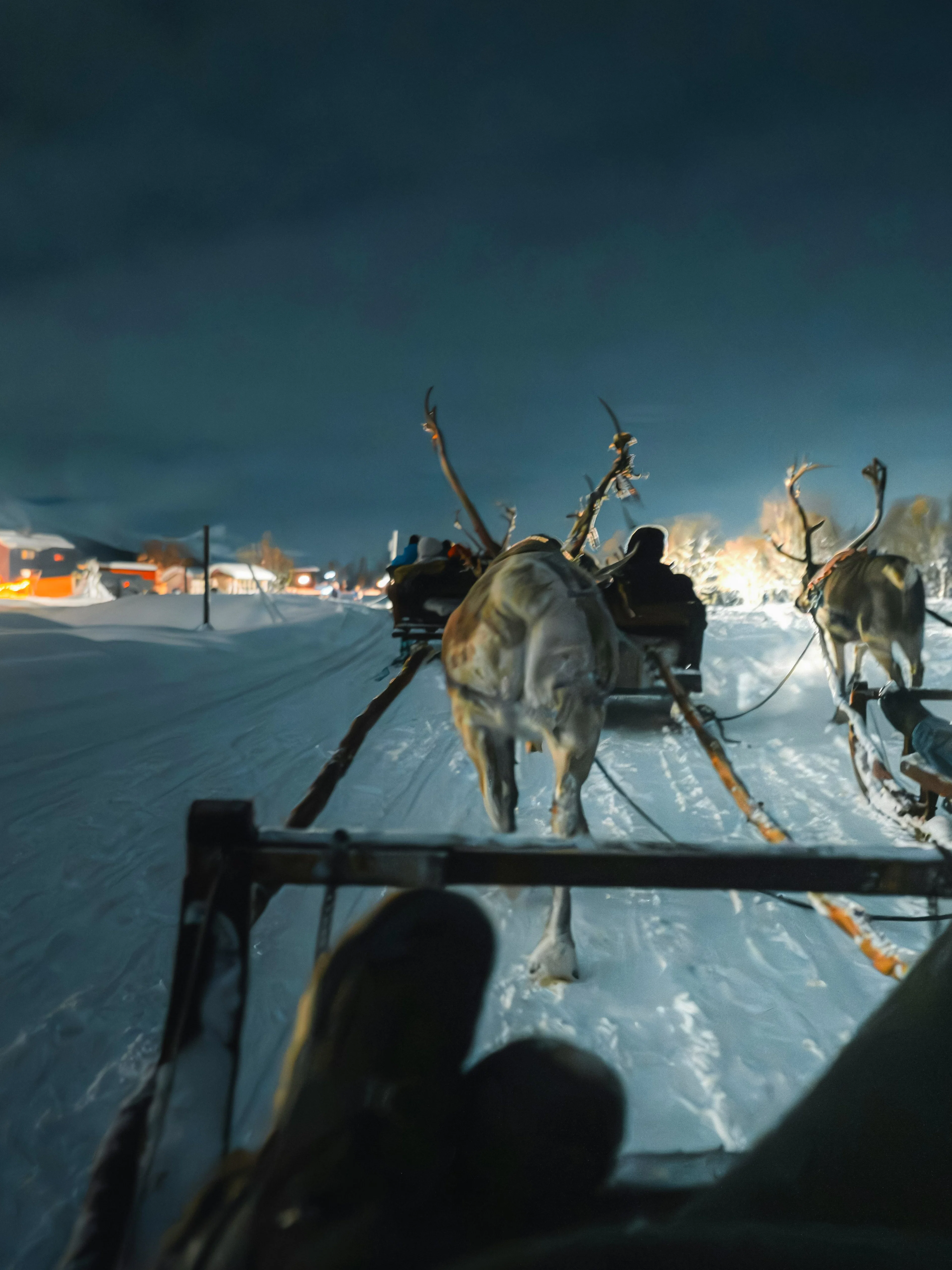Reindeer sledding at night in Tromso Lapland, Norway.