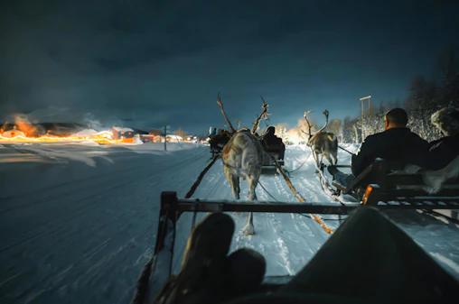 Tromso: Northern Lights, Reindeer and Sami Experiences