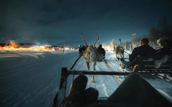 Tromso: Northern Lights, Reindeer and Sami Experiences