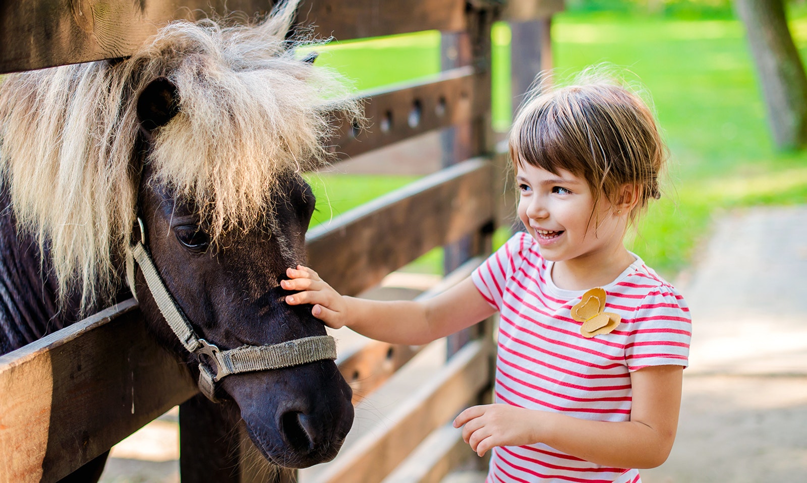 The little girl petting a pony through a wooden fence