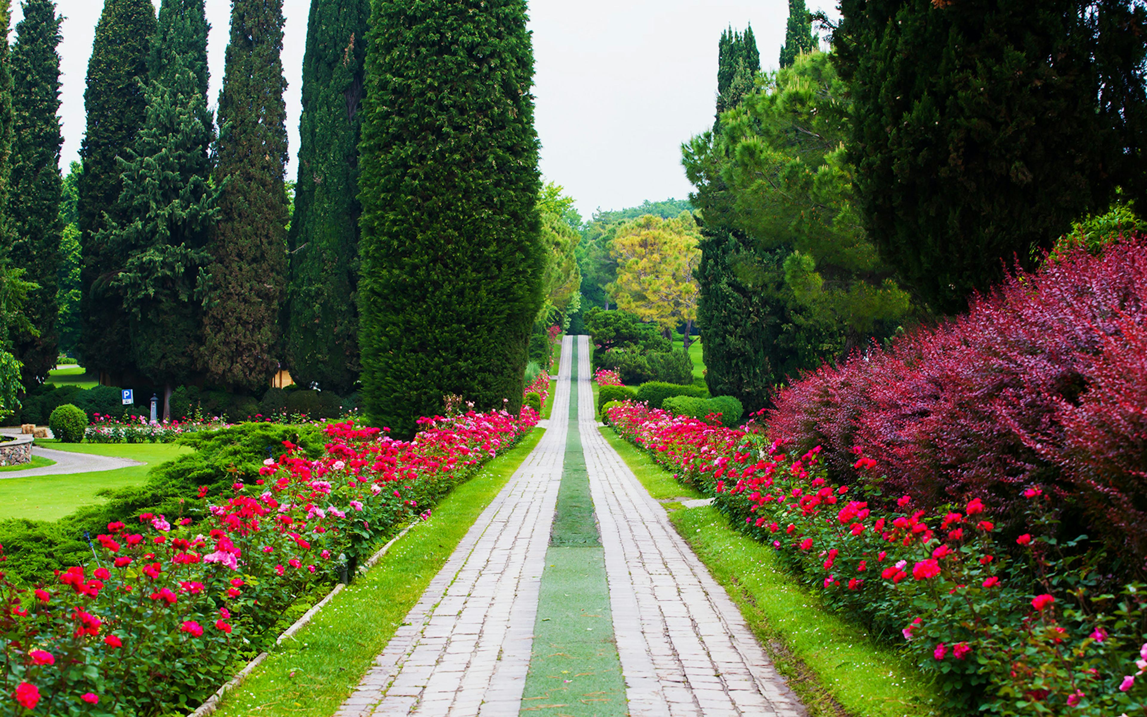 Pathway lined with vibrant flowers and tall trees at Sigurta Park.