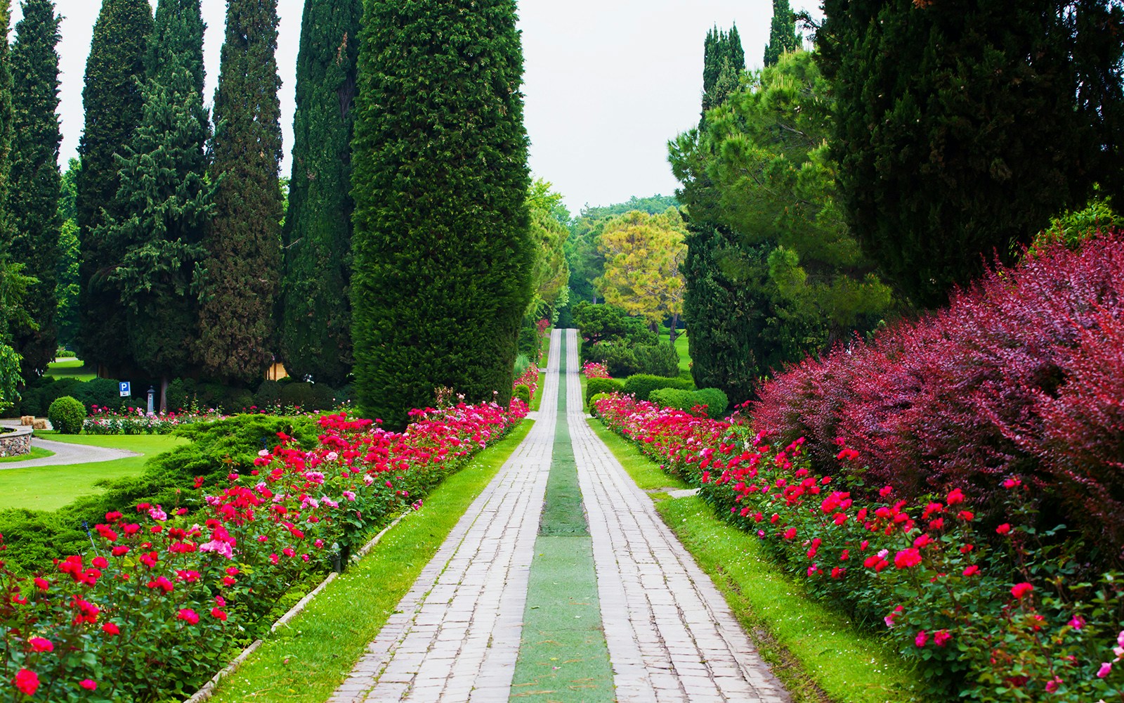 Pathway lined with vibrant flowers and tall trees at Sigurta Park.