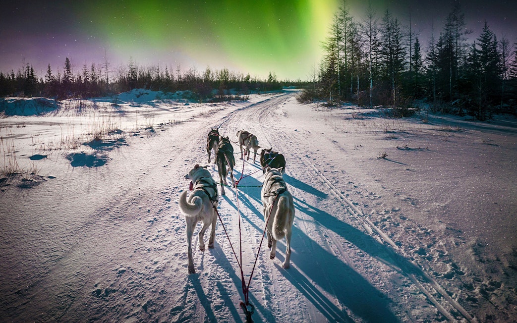 Husky team pulling sleigh under Northern Lights in snowy Rovaniemi, Finland.