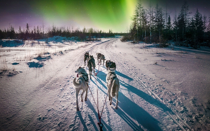 Husky team pulling sleigh under Northern Lights in snowy Rovaniemi, Finland.