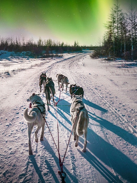 Husky team pulling sleigh under Northern Lights in snowy Rovaniemi, Finland.