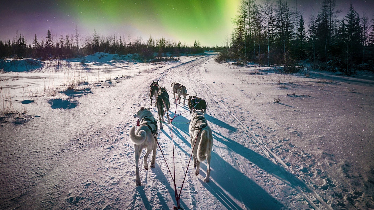 Husky team pulling sleigh under Northern Lights in snowy Rovaniemi, Finland.