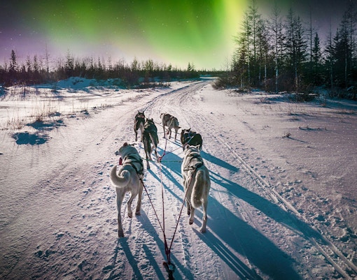 Husky team pulling sleigh under Northern Lights in snowy Rovaniemi, Finland.