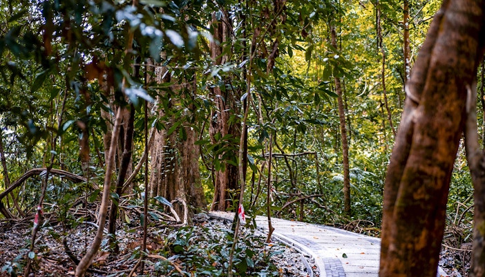 Dream Forest Langkawi Tickets