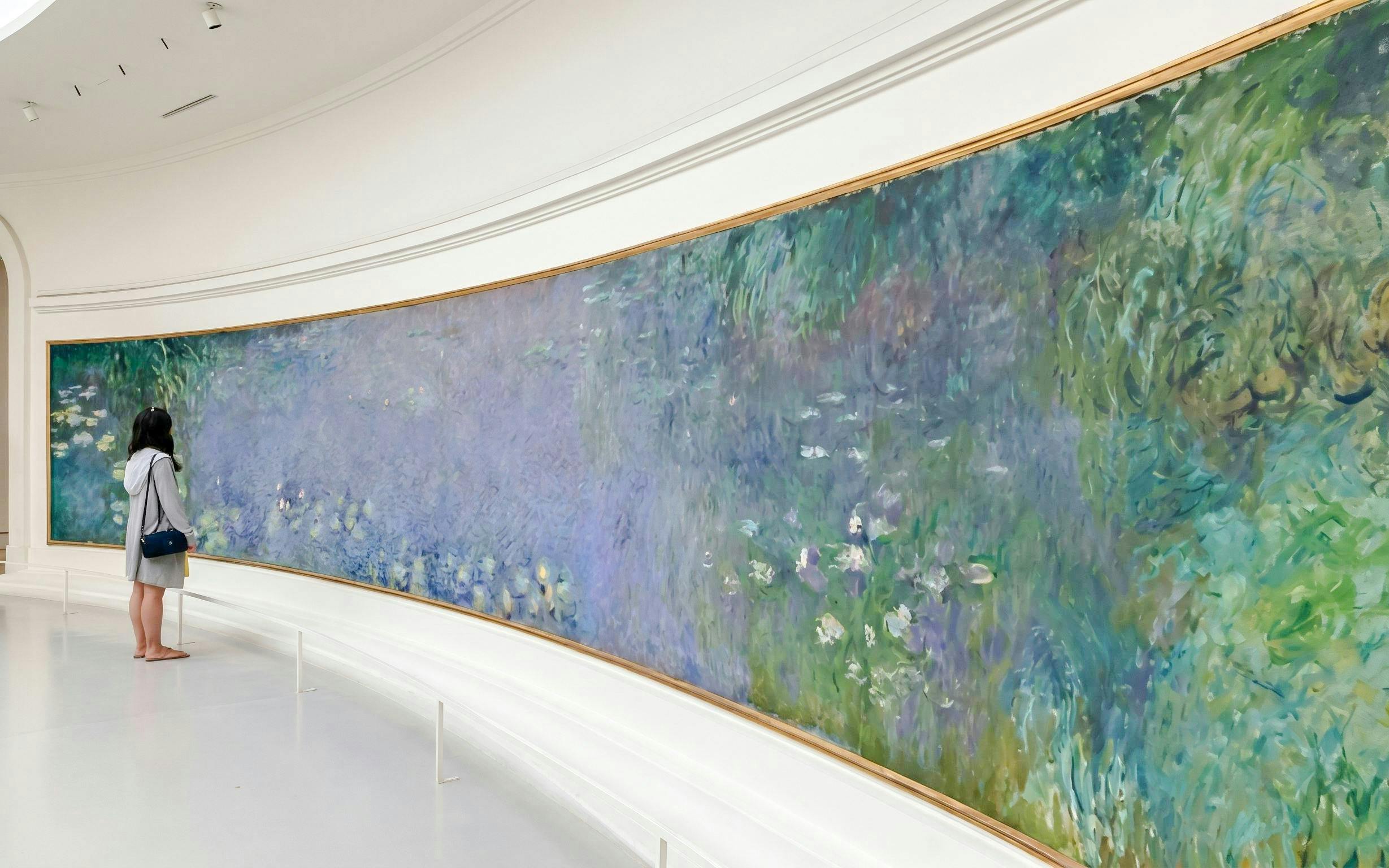 Visitor admiring Monet's Water Lilies at Musée de l’Orangerie, Paris.