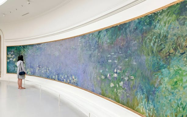 Visitor admiring Monet's Water Lilies at Musée de l’Orangerie, Paris.