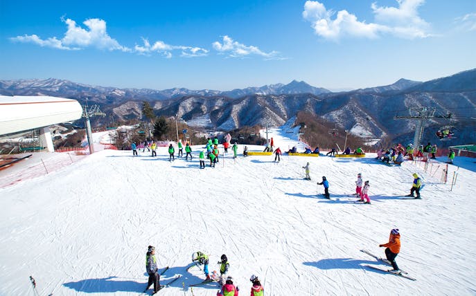 Skiers enjoying slopes at Elysian Gangchon Ski Resort with mountain views, near Seoul.