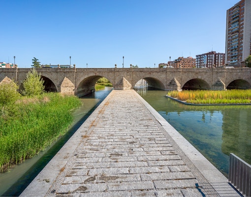 Stone bridge over the Manzanares River in Madrid with surrounding greenery.